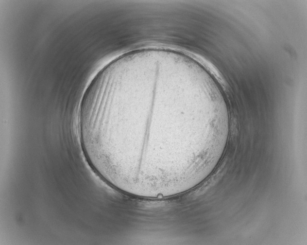 X0000115681247200912101127