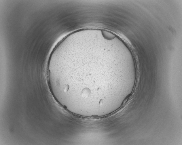 X0000115681248200912101127