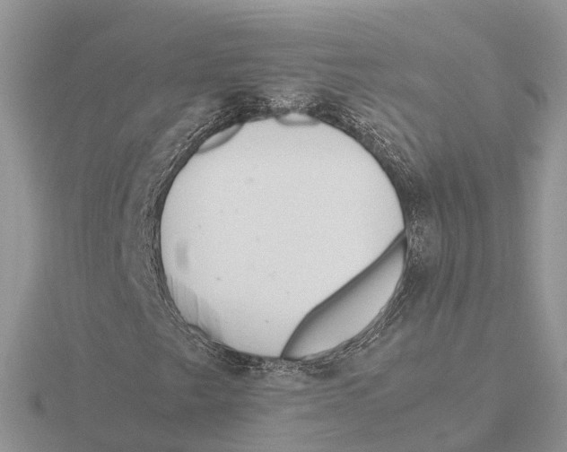 X0000115681249200912101126