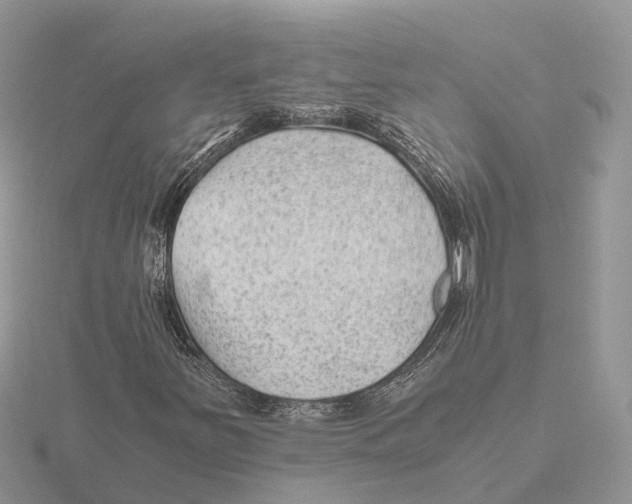 X0000115681251200912101126