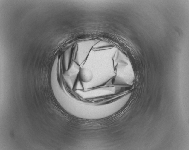 X0000115681252200912101126