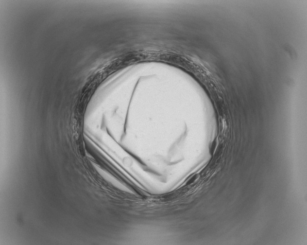 X0000115681253200912101126