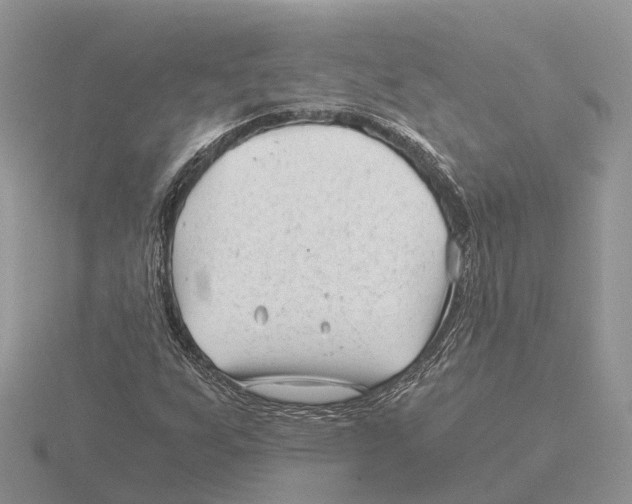 X0000115681255200912101126