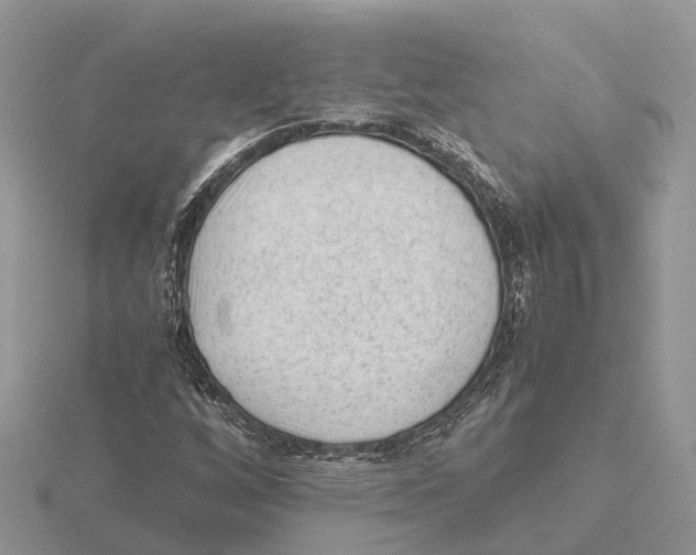 X0000115681256200912101126