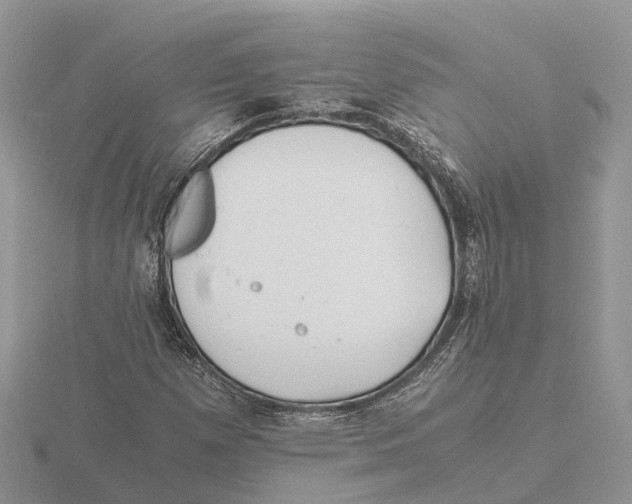 X0000115681257200912101126