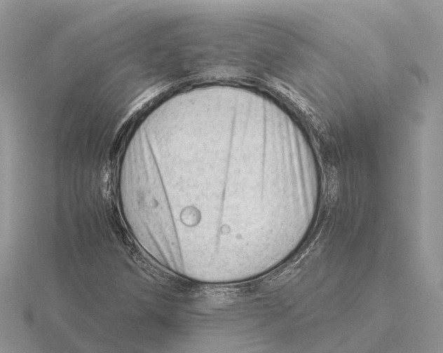 X0000115681258200912101126