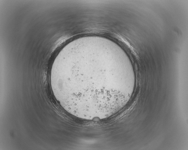 X0000115681259200912101126