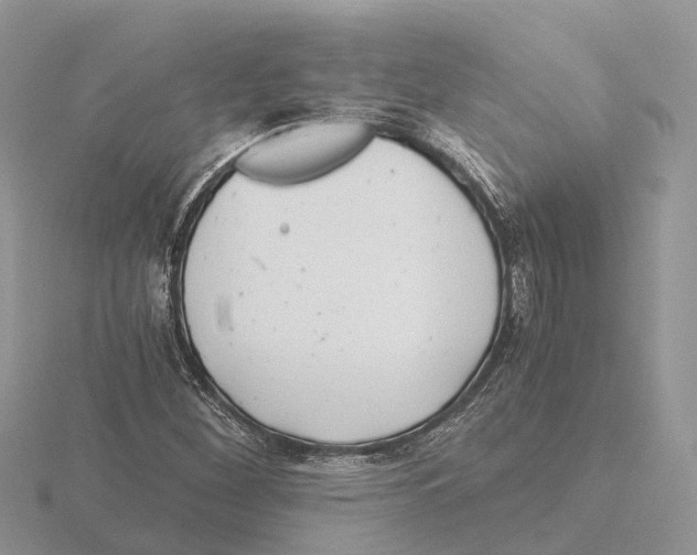 X0000115681260200912101126