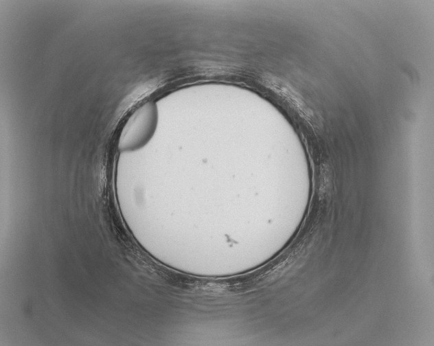 X0000115681261200912101126