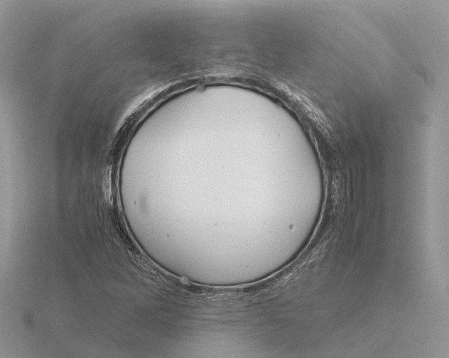 X0000115681262200912101126