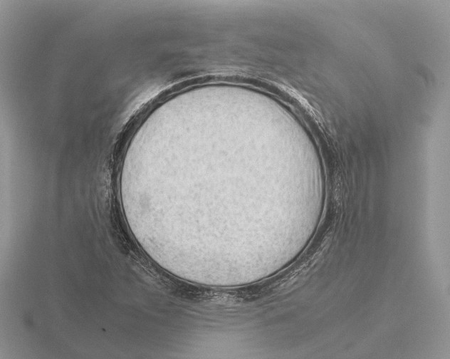 X0000115681263200912101126