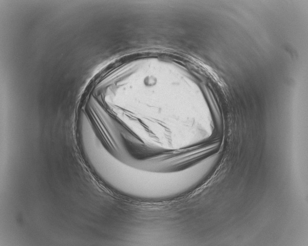 X0000115681264200912101126