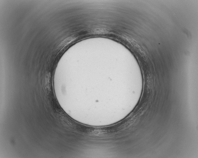 X0000115681265200912101126