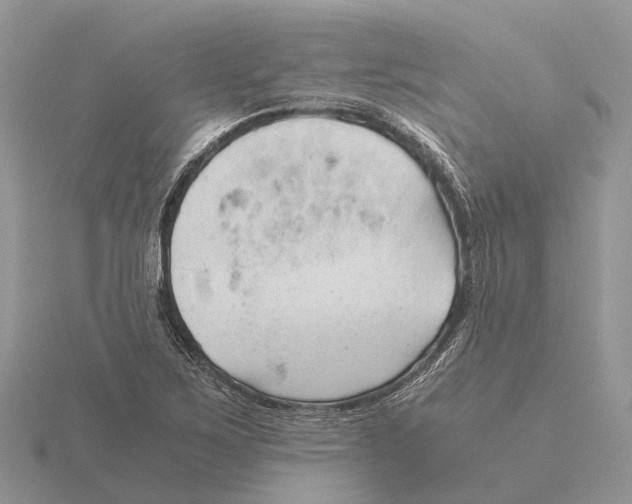 X0000115681267200912101126