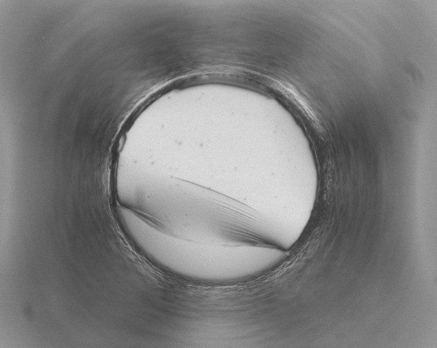 X0000115681268200912101126