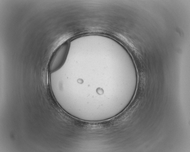 X0000115681269200912101126