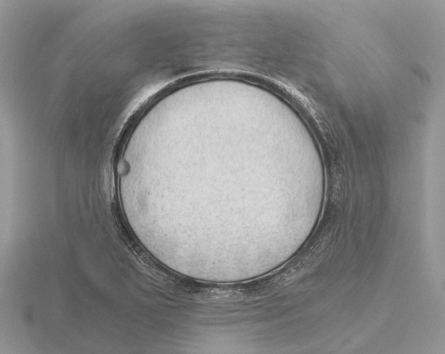 X0000115681271200912101126