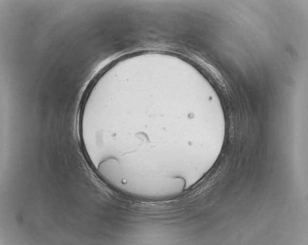 X0000115681272200912101126