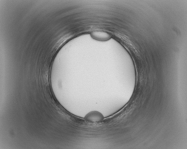 X0000115681273200912101126