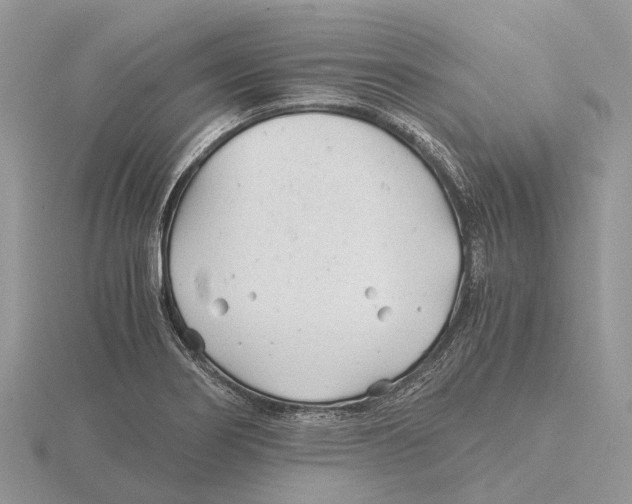 X0000115681274200912101126