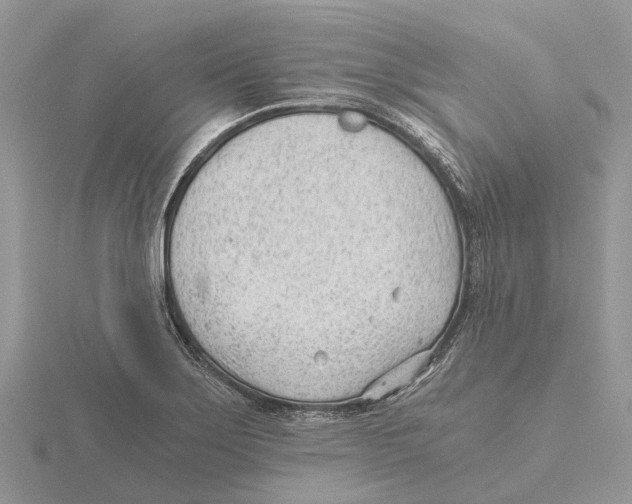 X0000115681275200912101126