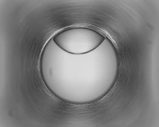 X0000115681276200912101126