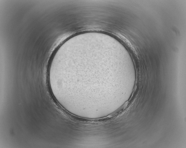 X0000115681277200912101126