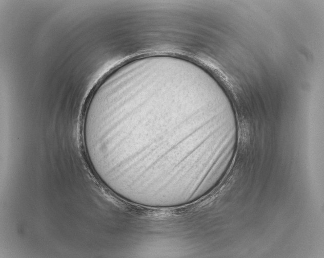 X0000115681278200912101126