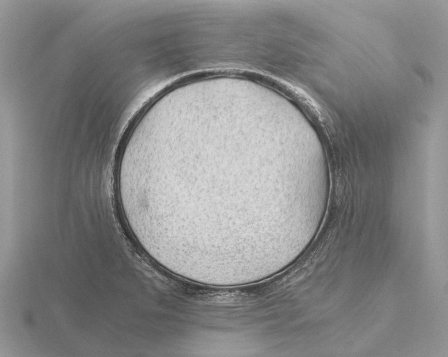 X0000115681279200912101126