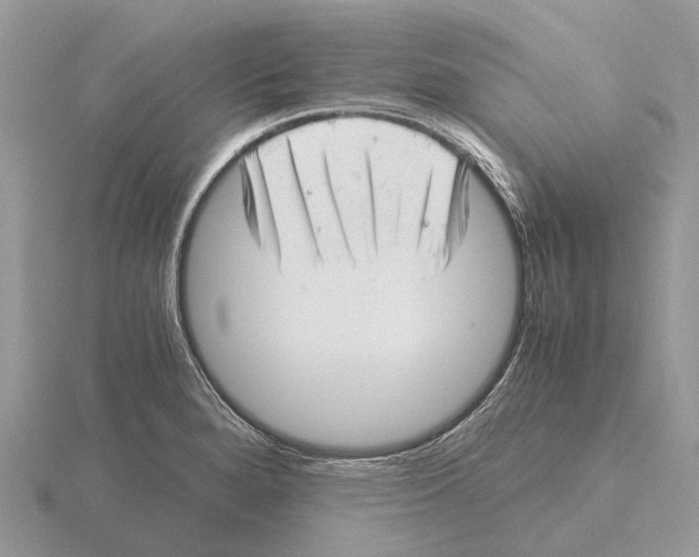 X0000115681280200912101126