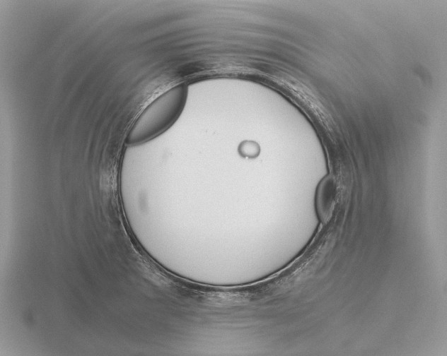 X0000115681281200912101126