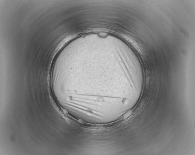 X0000115681282200912101126