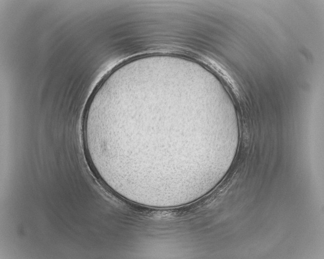 X0000115681283200912101126