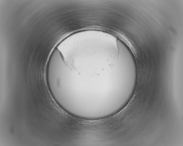 X0000115681284200912101126