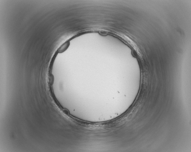 X0000115681285200912101126