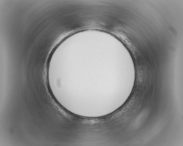 X0000115681286200912101126