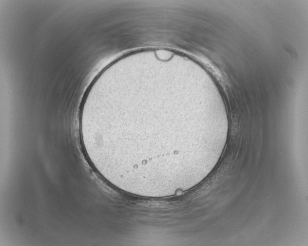 X0000115681287200912101126