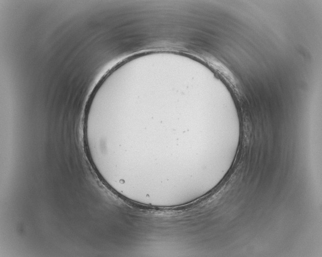 X0000115681288200912101125