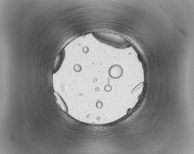 X0000115681289200912101125