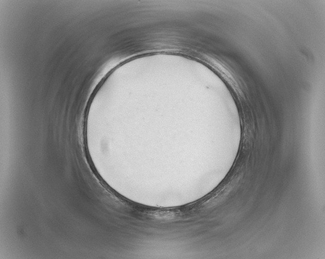 X0000115681291200912101125