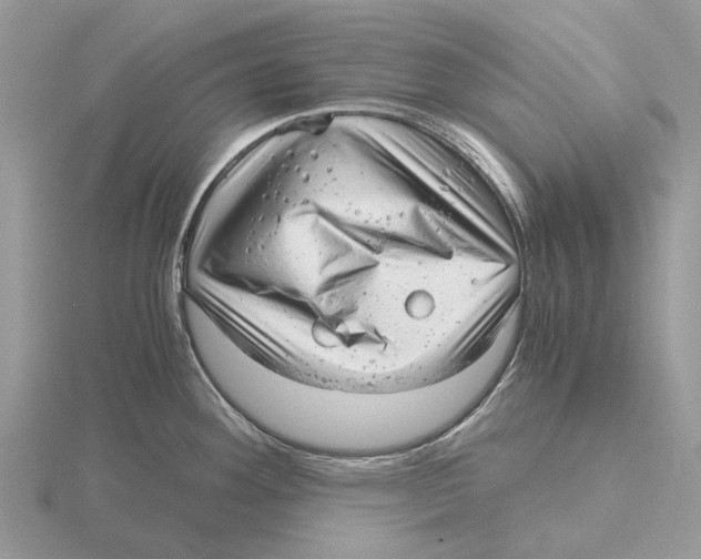 X0000115681292200912101125