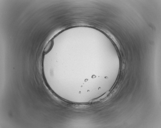 X0000115681293200912101125