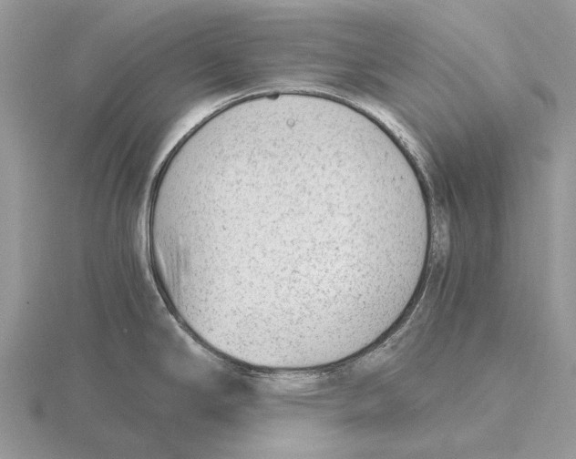 X0000115681294200912101125