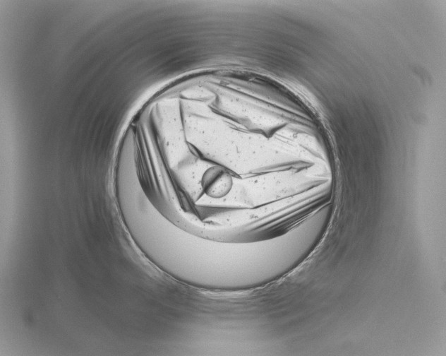 X0000115681296200912101125