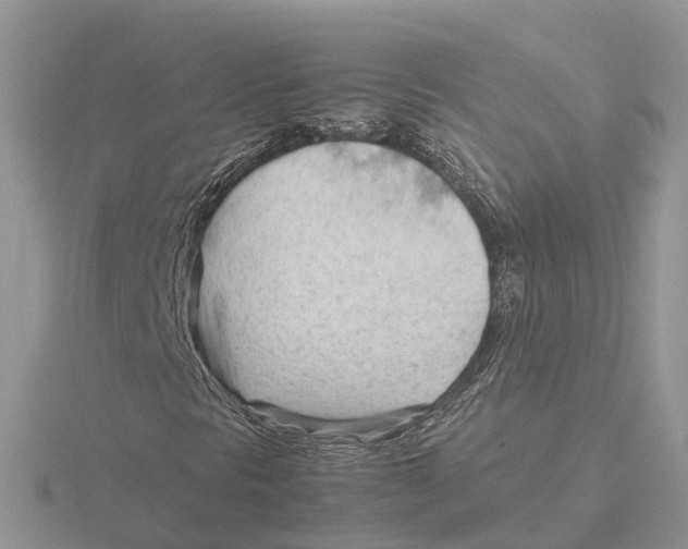 X0000115681297200912101125