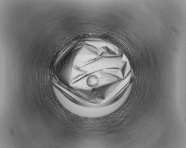 X0000115681298200912101125