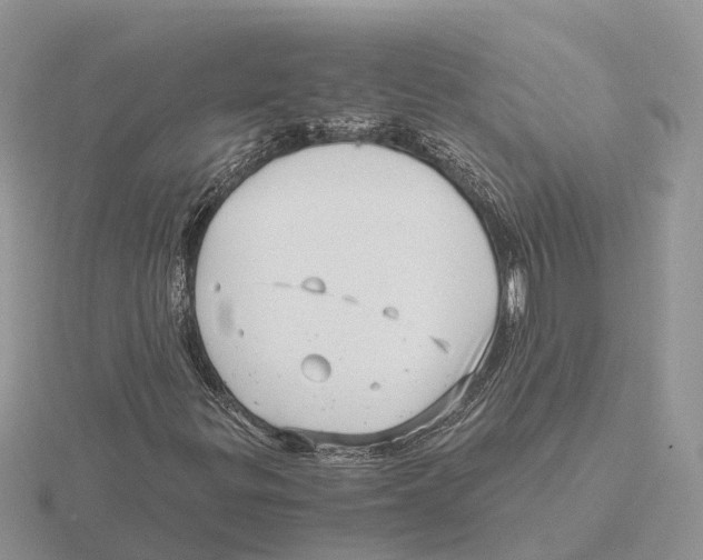 X0000115681299200912101125