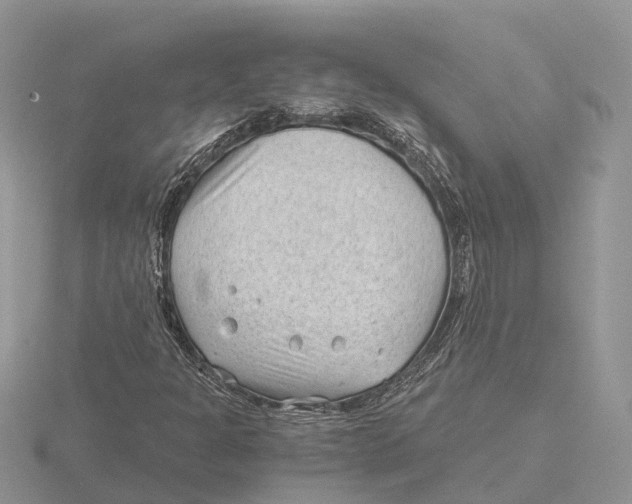 X0000115681301200912101125