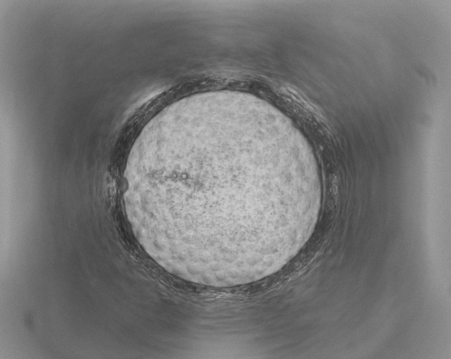 X0000115681302200912101125