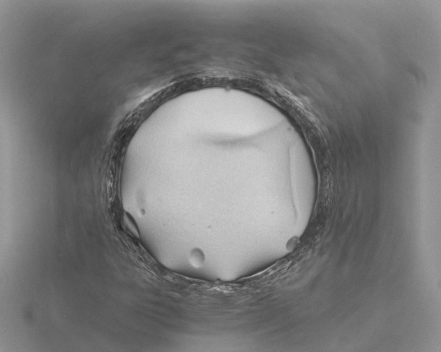 X0000115681303200912101125